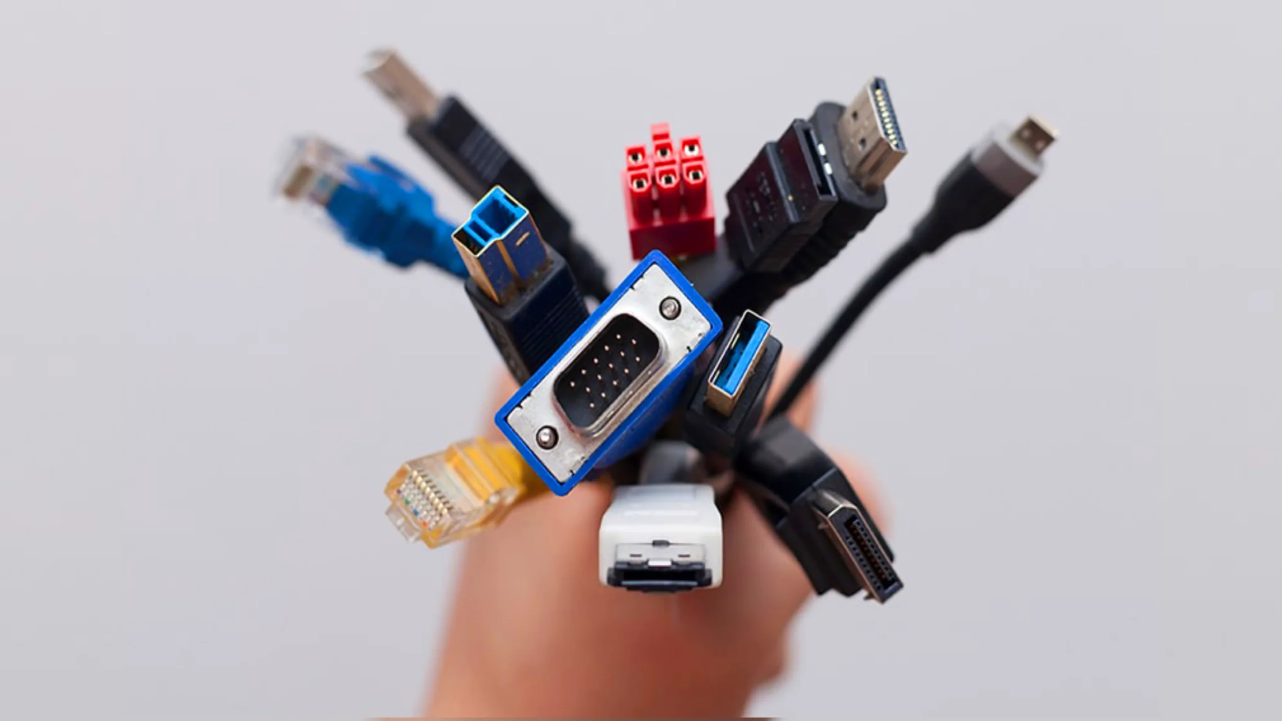 انواع کابل در دست یک نفر