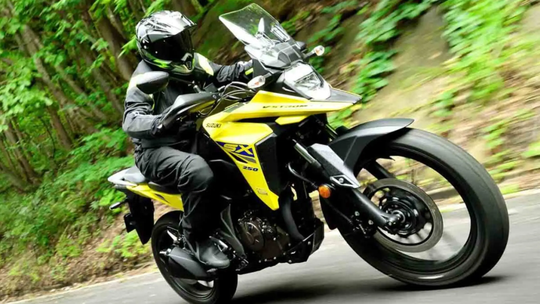 تصویری از موتور سیکلت ادونچر سوزوکی V-Strom 249 سی‌سی