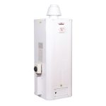 آبگرمکن گازی هایدسان Z50