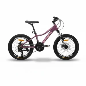 دوچرخه کودک و نوجوان اندورا zk20 Dura سایز 20