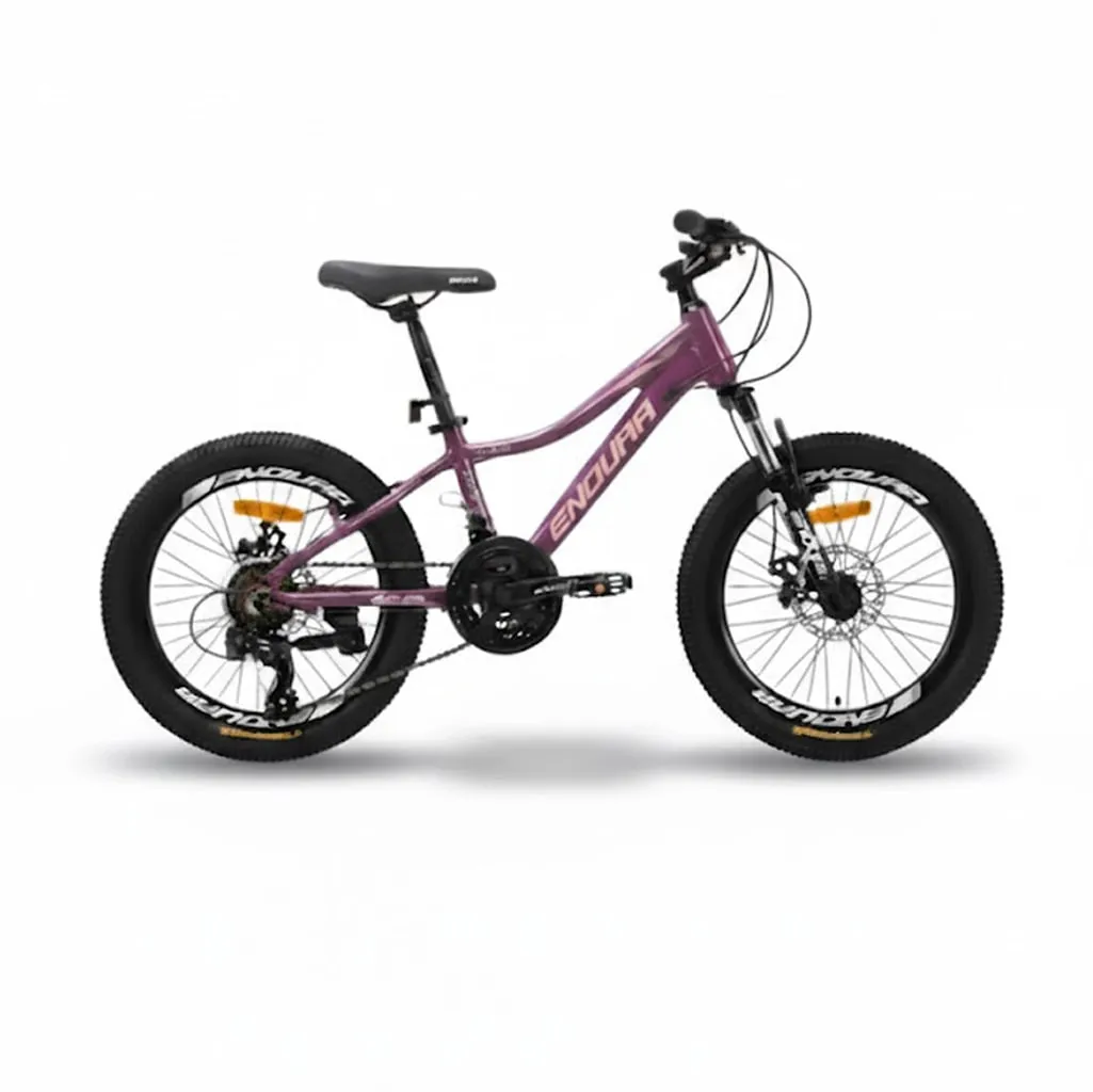 دوچرخه طرح اصلی اندورا zk20 Dura سایز 20