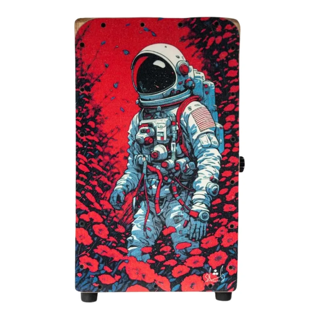 کاخن فنری دلشاد طرح 1