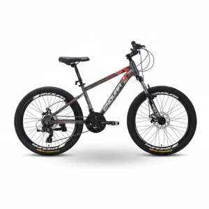 دوچرخه نوجوان اندورا zk10 City سایز 24