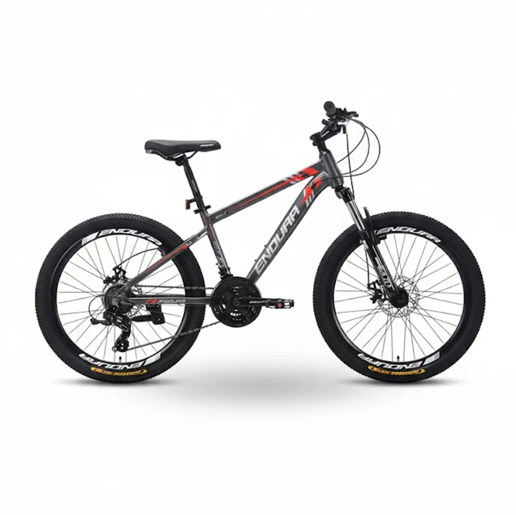 دوچرخه طرح اصلی اندورا zk10 City سایز 24