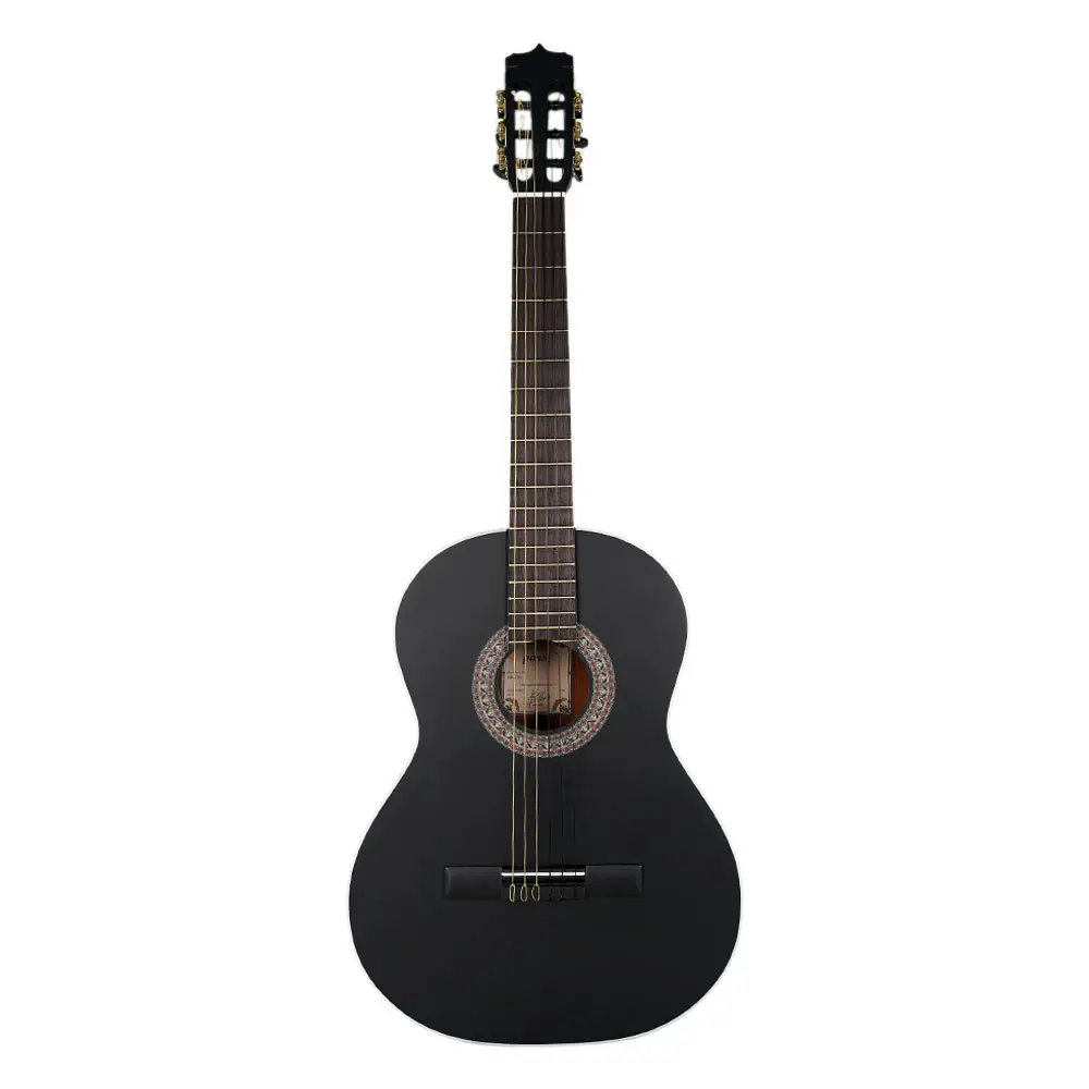 گیتار کلاسیک پارسی M4