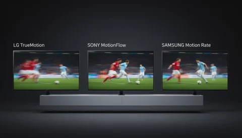 مقایسه TrueMotion، MotionFlow و Motion Rate