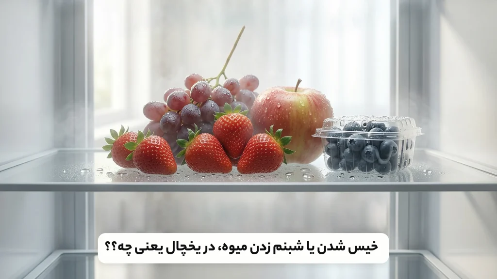 خیس شدن یا شبنم زدن میوه در یخچال یعنی چه و چرا نگران‌کننده می‌شود؟