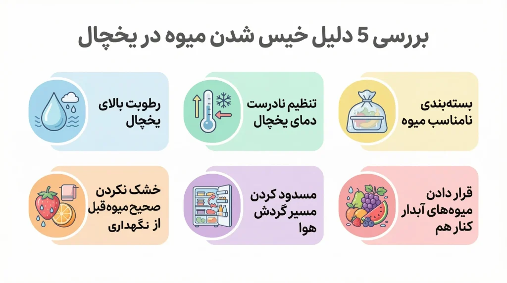 بررسی 5 علت خیس شدن میوه در یخچال