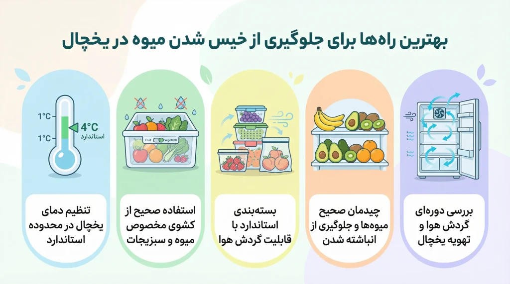 بهترین راهکارها برای جلوگیری از خیس شدن میوه در یخچال
