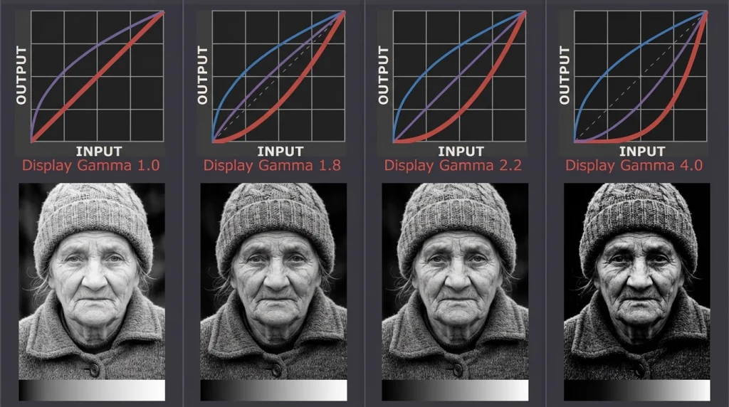 تنظیم گاما (Gamma)