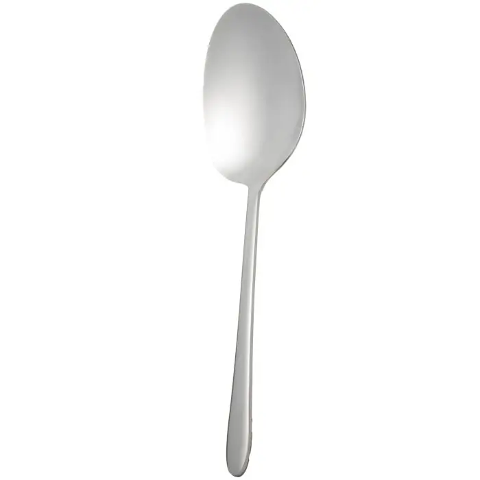 کفگیر بزرگ ام جی اس استیل DF008