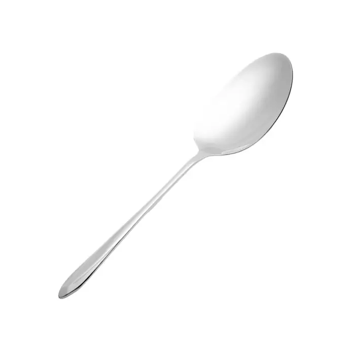 کفگیر بزرگ ام جی اس DF020