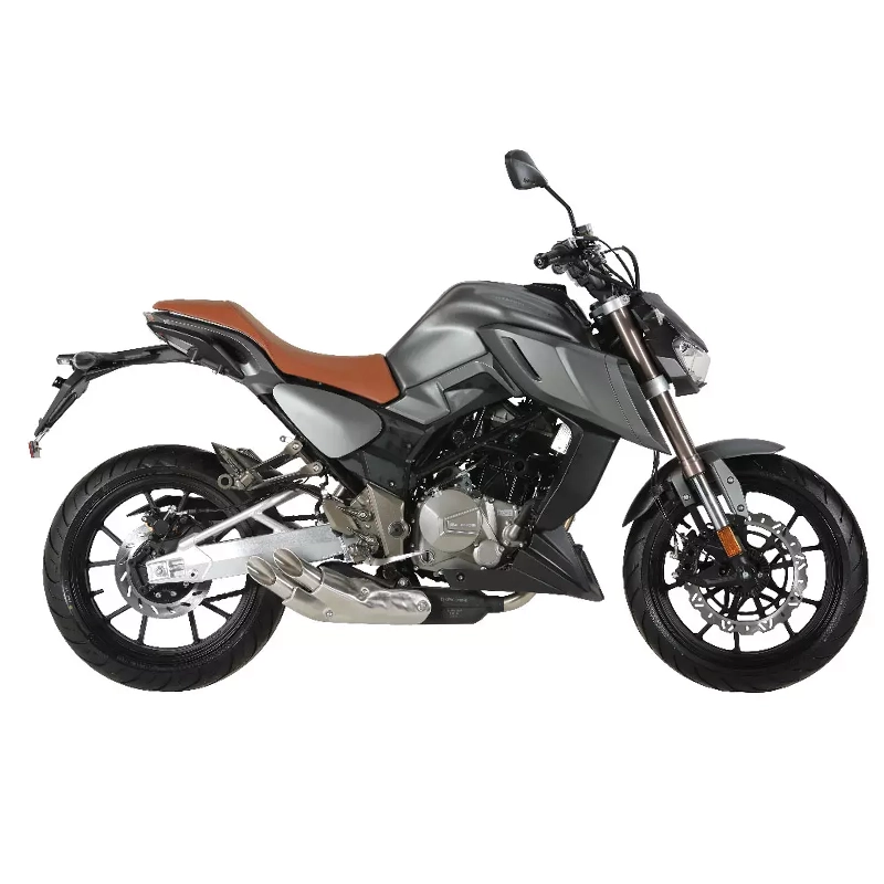 موتورسیکلت هانی موتور مانستر ۲۵۰ سی سی