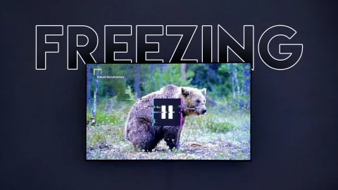 گیر کردن یا فریز شدن تصویر تلویزیون