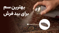 بررسی بهترین سم برای بید فرش