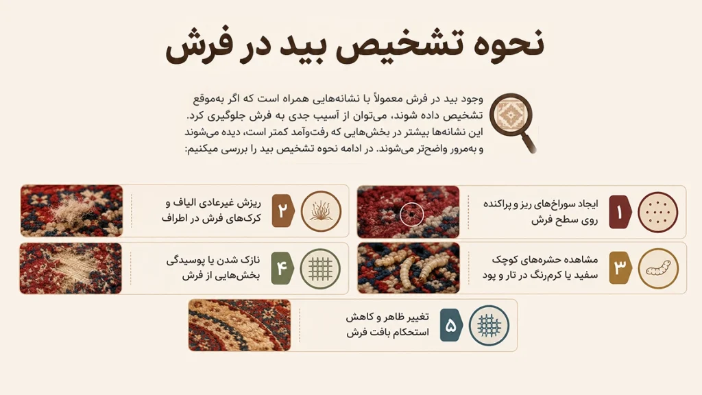 5 راهکار برای تشخیص وجود بید در فرش