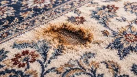 رفع سوختگی فرش
